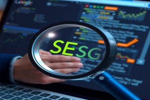 SEO霸屏，会员特权解锁